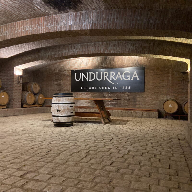 Descubre los exquisitos viñedos de Santiago de Chile