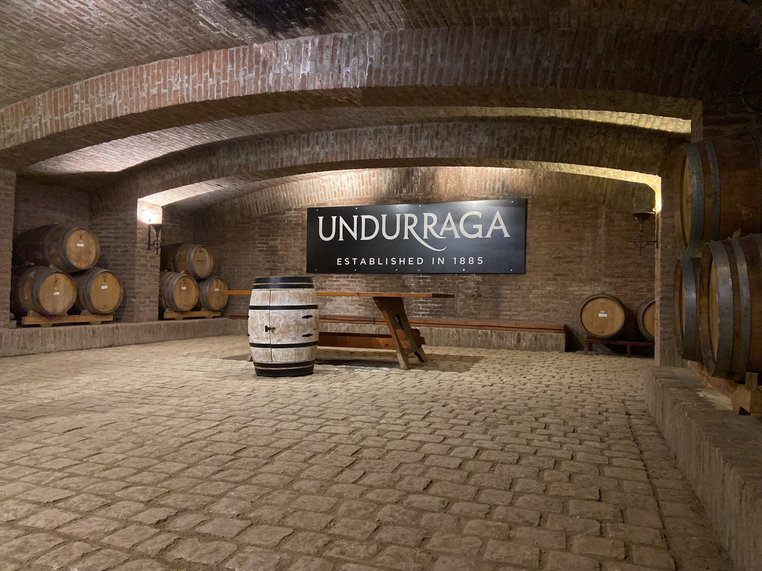 Descubre los exquisitos viñedos de Santiago de Chile