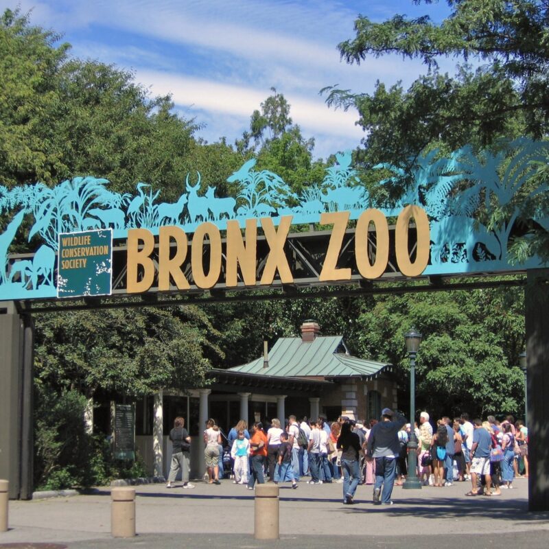 Nueva York con Niños