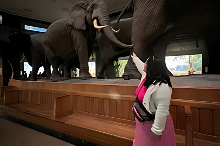 Museo de Historia Natural de Nueva York