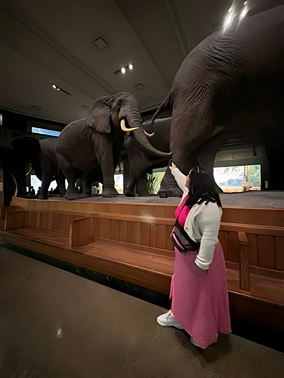 Museo de Historia Natural de Nueva York 2025