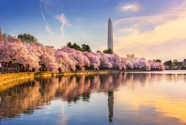 Primavera en Washington