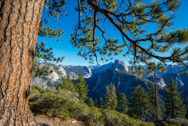 Visita parques nacionales en California