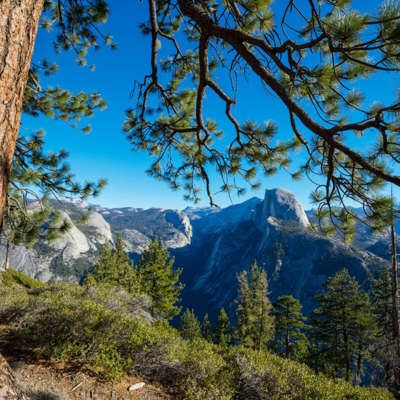 Visita parques nacionales en California
