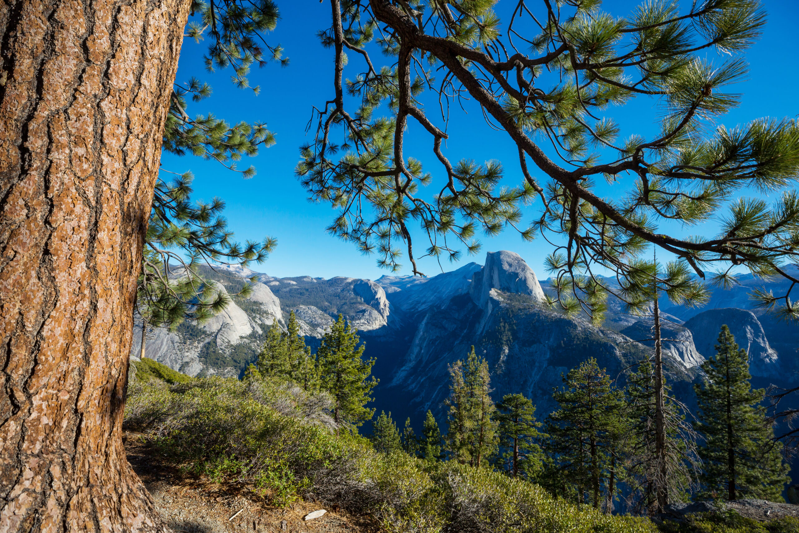 Visita parques nacionales en California